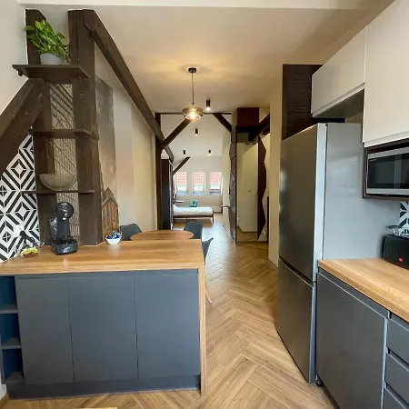 Long Attic Apartment Poznan