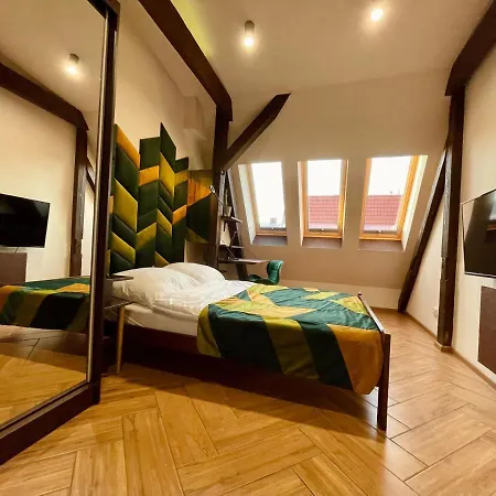 Apartment Long Attic